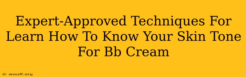 Expert-Approved Techniques For Learn How To Know Your Skin Tone For Bb Cream