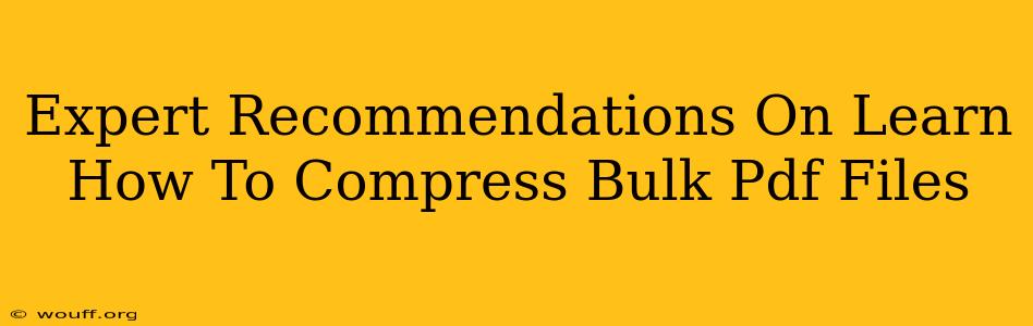 Expert Recommendations On Learn How To Compress Bulk Pdf Files