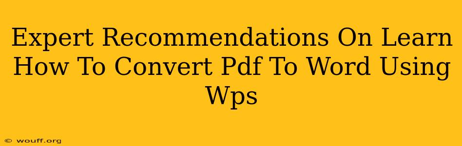 Expert Recommendations On Learn How To Convert Pdf To Word Using Wps