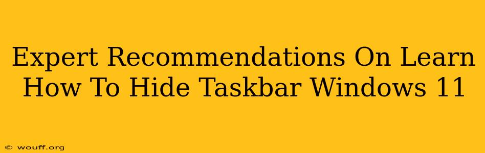 Expert Recommendations On Learn How To Hide Taskbar Windows 11