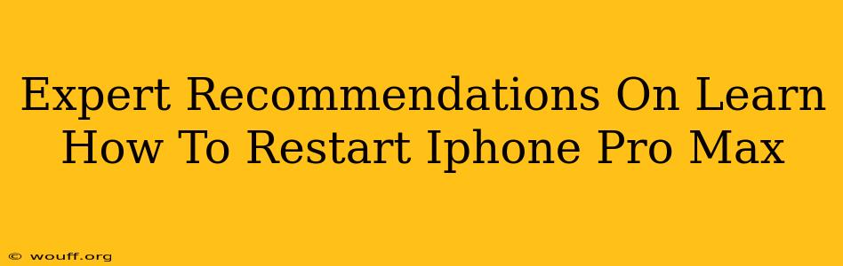 Expert Recommendations On Learn How To Restart Iphone Pro Max