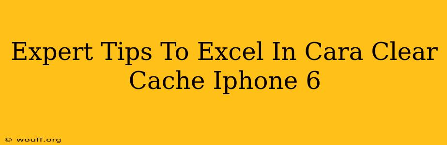 Expert Tips To Excel In Cara Clear Cache Iphone 6