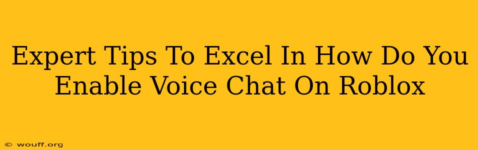 Expert Tips To Excel In How Do You Enable Voice Chat On Roblox