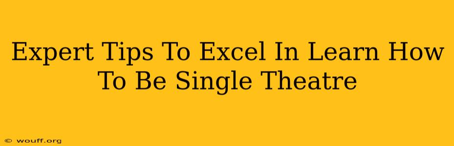 Expert Tips To Excel In Learn How To Be Single Theatre