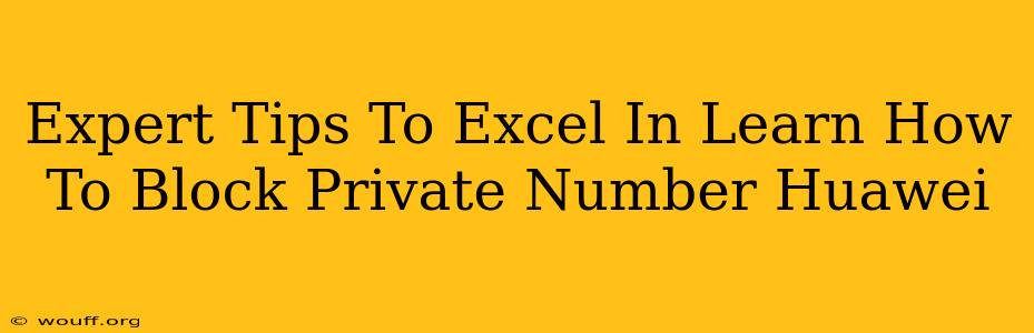 Expert Tips To Excel In Learn How To Block Private Number Huawei