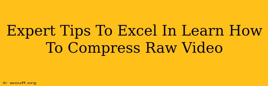 Expert Tips To Excel In Learn How To Compress Raw Video