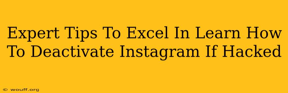 Expert Tips To Excel In Learn How To Deactivate Instagram If Hacked