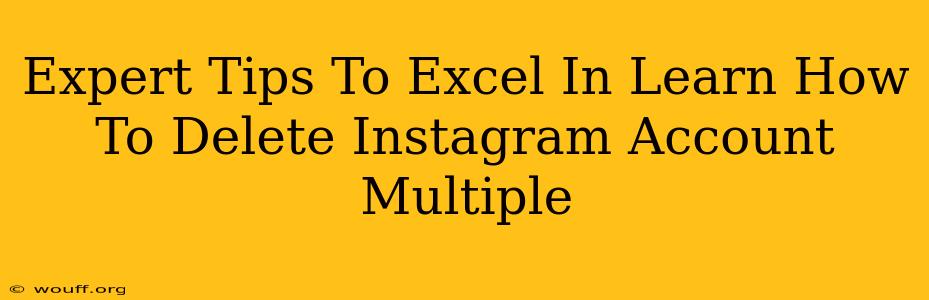 Expert Tips To Excel In Learn How To Delete Instagram Account Multiple