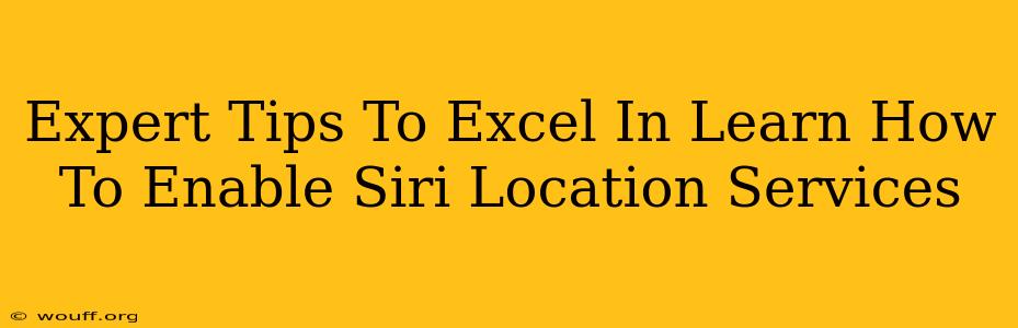 Expert Tips To Excel In Learn How To Enable Siri Location Services