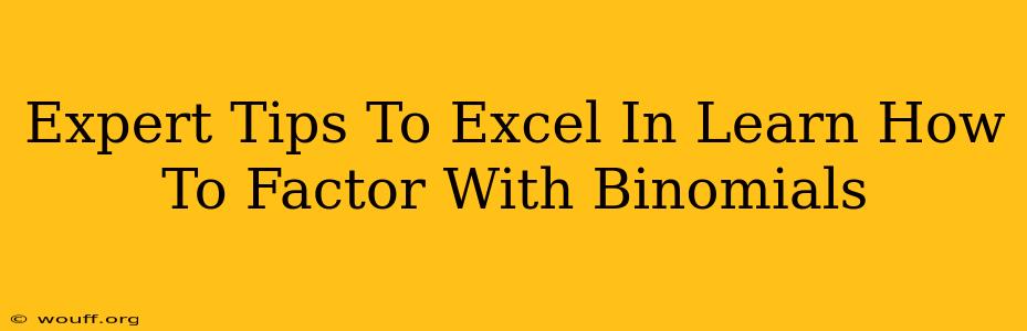 Expert Tips To Excel In Learn How To Factor With Binomials