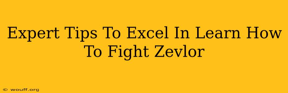 Expert Tips To Excel In Learn How To Fight Zevlor