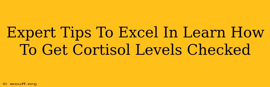 Expert Tips To Excel In Learn How To Get Cortisol Levels Checked