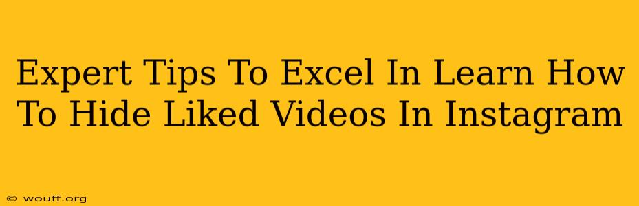 Expert Tips To Excel In Learn How To Hide Liked Videos In Instagram