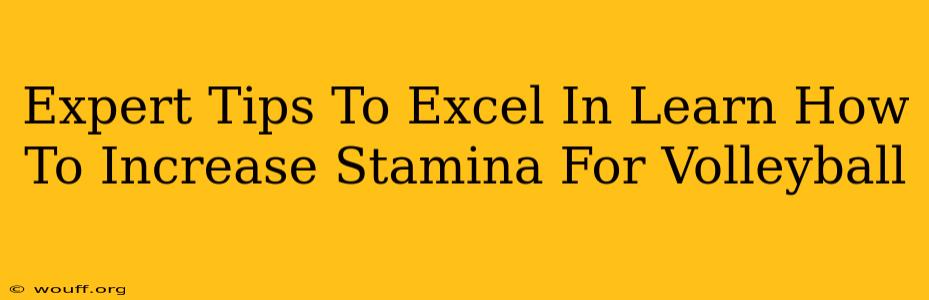 Expert Tips To Excel In Learn How To Increase Stamina For Volleyball