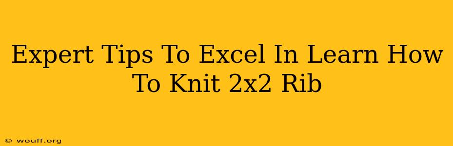 Expert Tips To Excel In Learn How To Knit 2x2 Rib