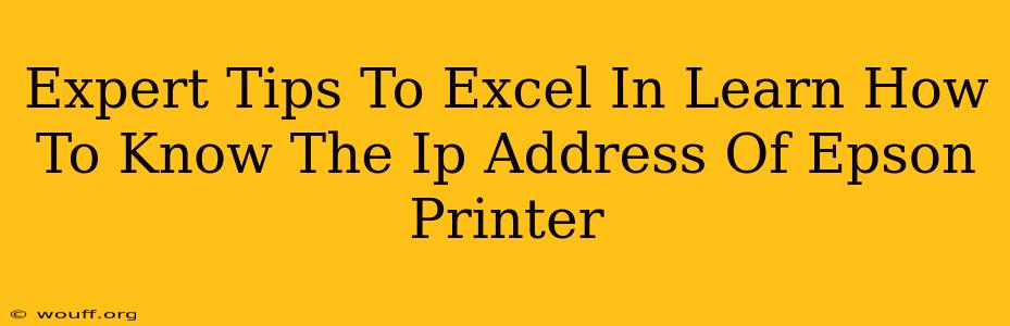 Expert Tips To Excel In Learn How To Know The Ip Address Of Epson Printer