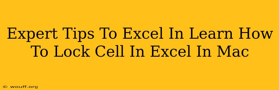 Expert Tips To Excel In Learn How To Lock Cell In Excel In Mac