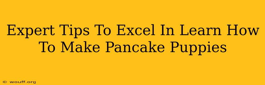 Expert Tips To Excel In Learn How To Make Pancake Puppies