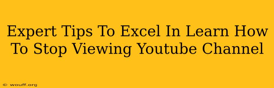 Expert Tips To Excel In Learn How To Stop Viewing Youtube Channel