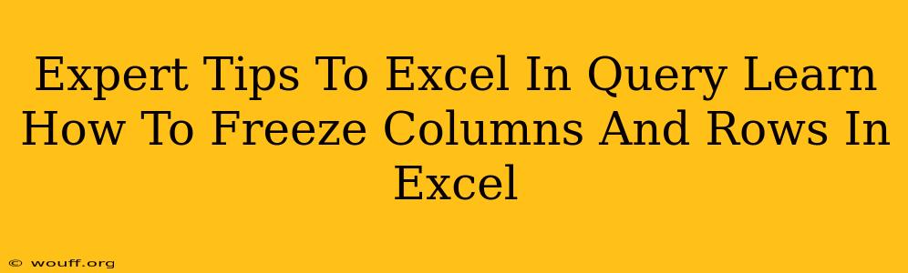 Expert Tips To Excel In Query Learn How To Freeze Columns And Rows In Excel