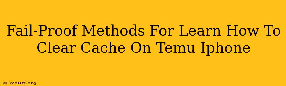 Fail-Proof Methods For Learn How To Clear Cache On Temu Iphone