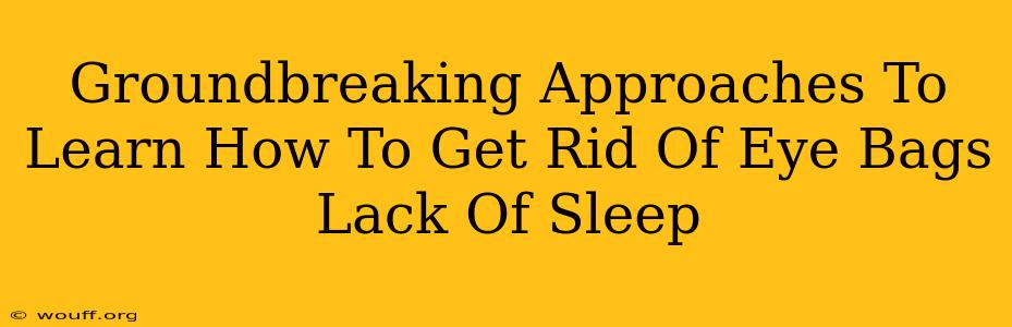 Groundbreaking Approaches To Learn How To Get Rid Of Eye Bags Lack Of Sleep