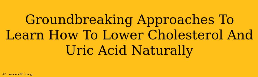 Groundbreaking Approaches To Learn How To Lower Cholesterol And Uric Acid Naturally