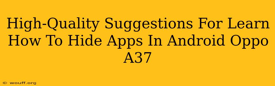 High-Quality Suggestions For Learn How To Hide Apps In Android Oppo A37
