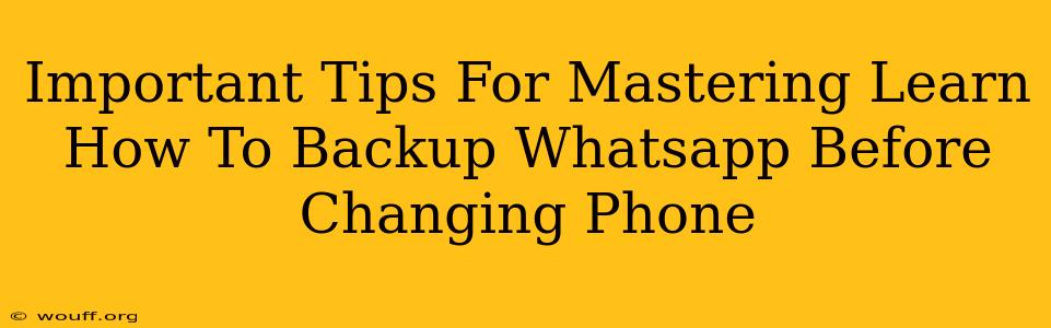 Important Tips For Mastering Learn How To Backup Whatsapp Before Changing Phone