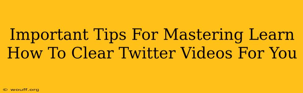 Important Tips For Mastering Learn How To Clear Twitter Videos For You