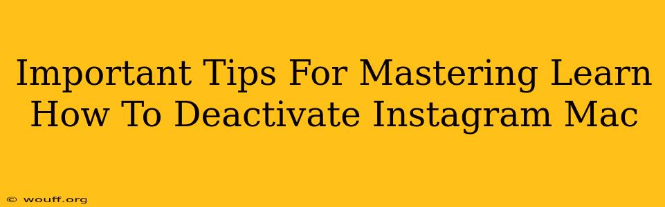 Important Tips For Mastering Learn How To Deactivate Instagram Mac