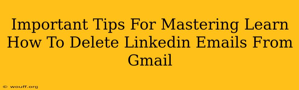 Important Tips For Mastering Learn How To Delete Linkedin Emails From Gmail