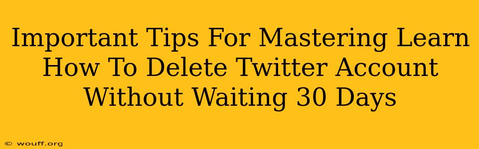 Important Tips For Mastering Learn How To Delete Twitter Account Without Waiting 30 Days