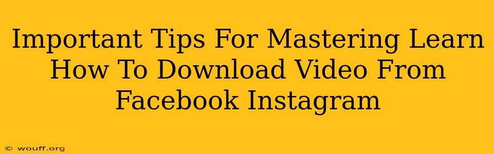 Important Tips For Mastering Learn How To Download Video From Facebook Instagram