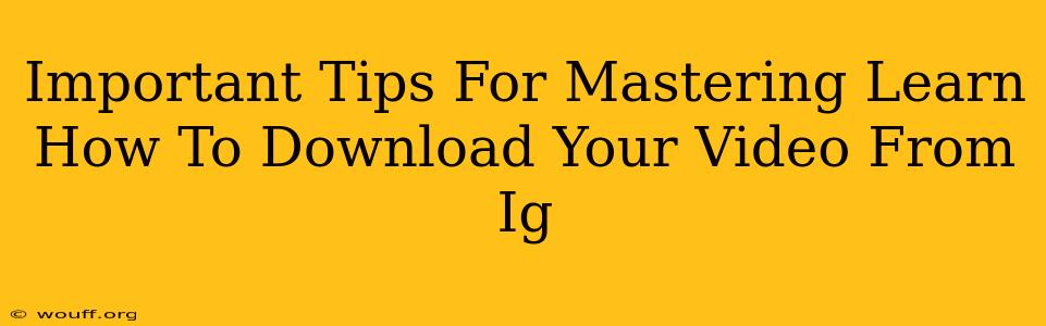 Important Tips For Mastering Learn How To Download Your Video From Ig