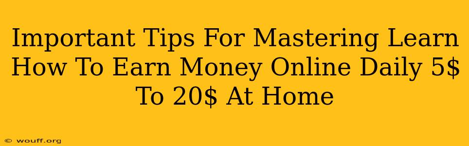 Important Tips For Mastering Learn How To Earn Money Online Daily 5$ To 20$ At Home