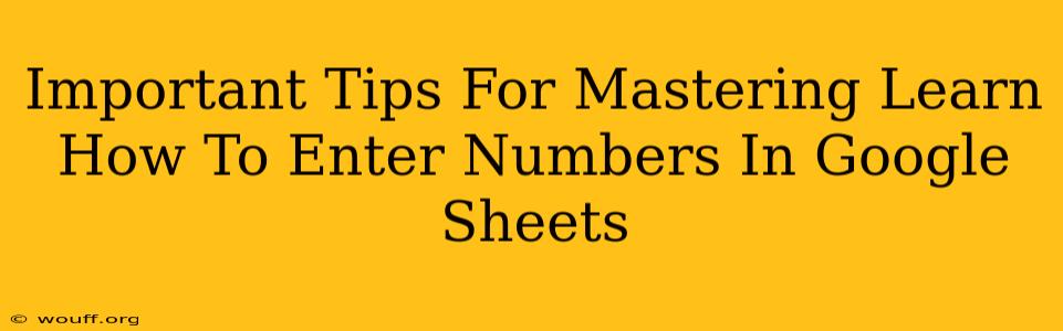 Important Tips For Mastering Learn How To Enter Numbers In Google Sheets