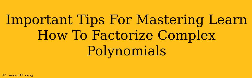 Important Tips For Mastering Learn How To Factorize Complex Polynomials