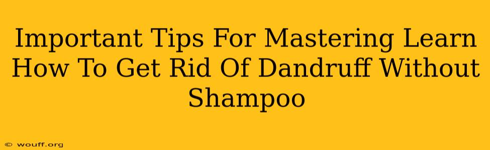 Important Tips For Mastering Learn How To Get Rid Of Dandruff Without Shampoo