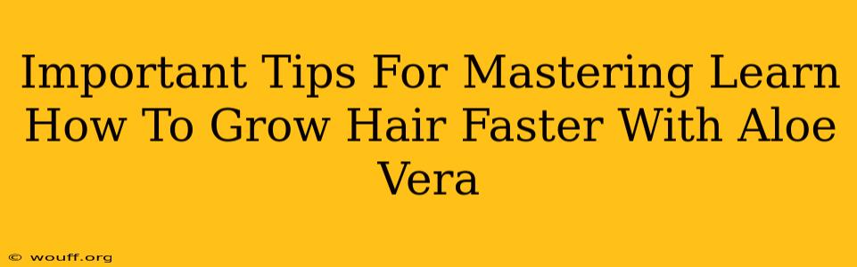 Important Tips For Mastering Learn How To Grow Hair Faster With Aloe Vera