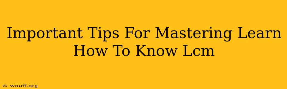 Important Tips For Mastering Learn How To Know Lcm