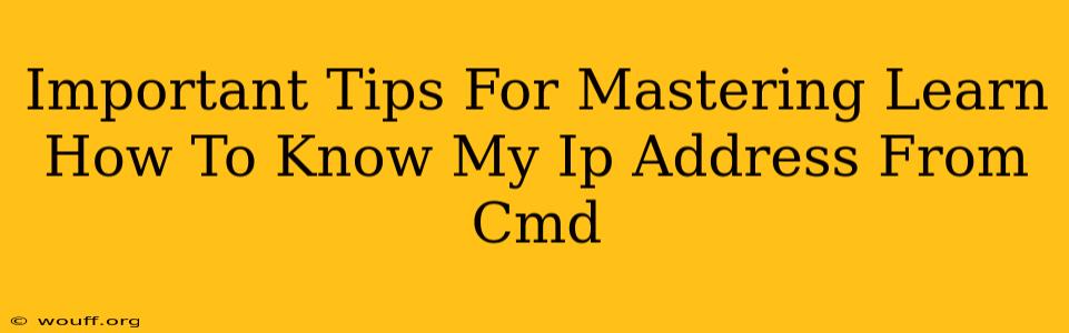 Important Tips For Mastering Learn How To Know My Ip Address From Cmd