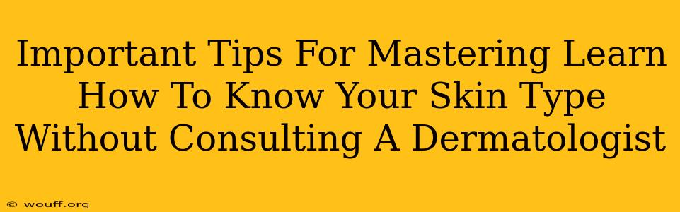 Important Tips For Mastering Learn How To Know Your Skin Type Without Consulting A Dermatologist