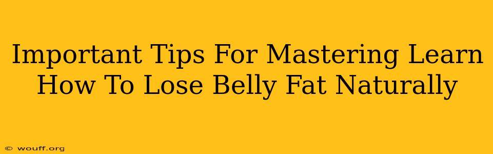 Important Tips For Mastering Learn How To Lose Belly Fat Naturally