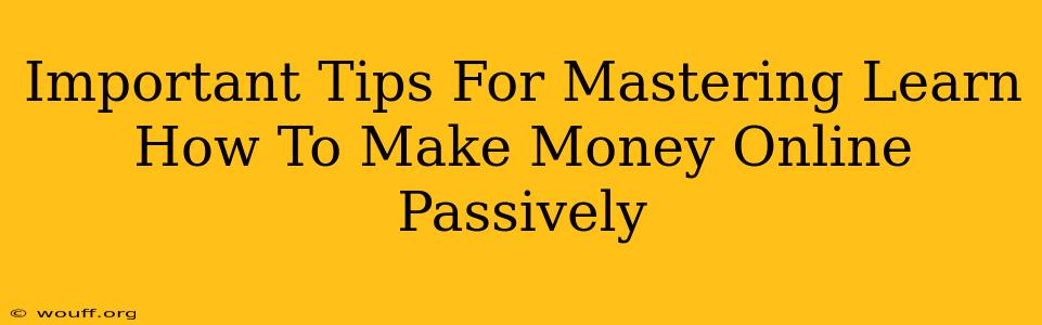 Important Tips For Mastering Learn How To Make Money Online Passively