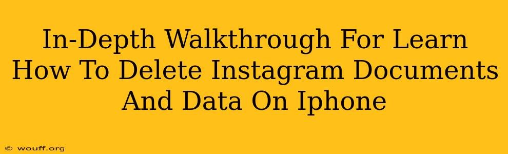 In-Depth Walkthrough For Learn How To Delete Instagram Documents And Data On Iphone