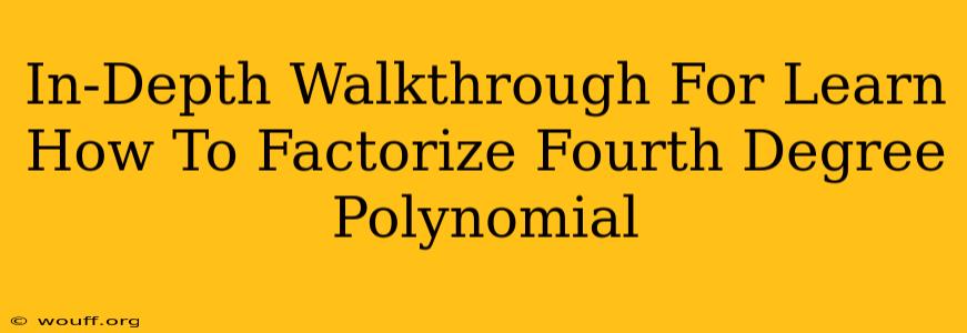 In-Depth Walkthrough For Learn How To Factorize Fourth Degree Polynomial