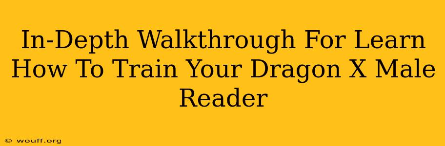 In-Depth Walkthrough For Learn How To Train Your Dragon X Male Reader