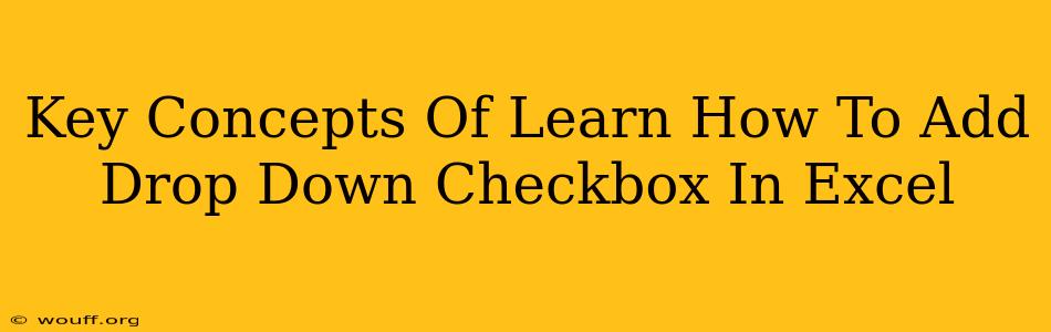 Key Concepts Of Learn How To Add Drop Down Checkbox In Excel