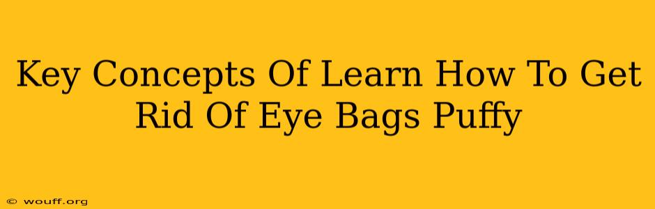 Key Concepts Of Learn How To Get Rid Of Eye Bags Puffy